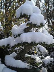 Winterbild