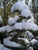 Winterbild