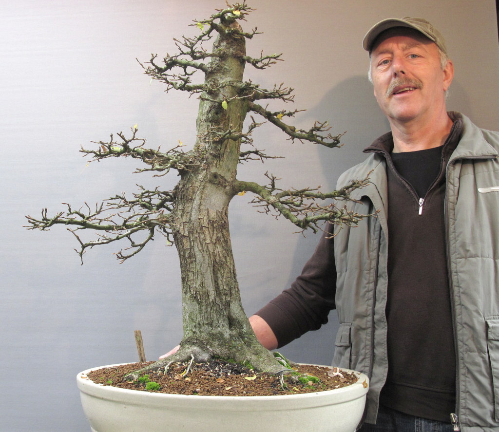 Westerwald Bonsai Gestaltung einer Wildbirne